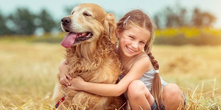 6 Dog Breeds That Easily Make Friends with Kids Golden retriever