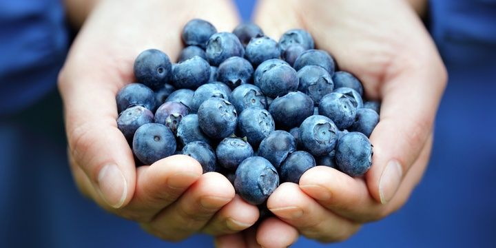 8 Foods That Speed up Weight Loss Blueberries