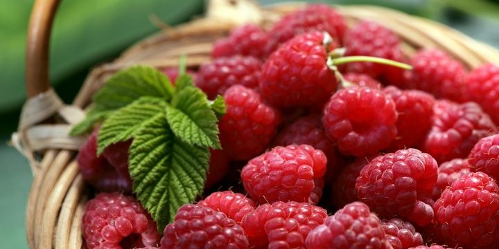 8 Foods That Speed up Weight Loss Raspberries