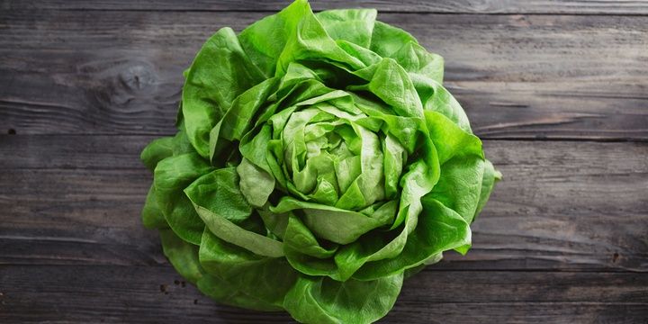 5 Special Foods That Dieters Should Eat Lettuce