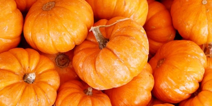 5 Foods That Do Not Enjoy Low Temperatures Pumpkin