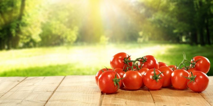 6 Foods That Should Not Be Found in Your Fridge Tomatoes