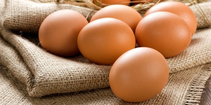 5 Foods That Do Not Enjoy Low Temperatures Eggs