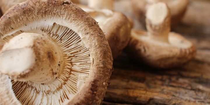 Best Foods for Healthy Locks Shiitake Mushrooms