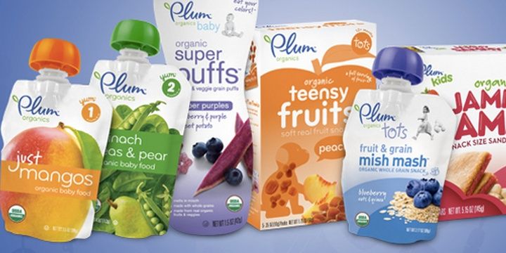 6 Companies for Applicants Who Dream of a Meaningful Job Plum Organics