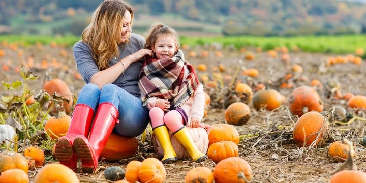 7 Halloween Ideas That Can Make Your Richer Pumpkin farmers