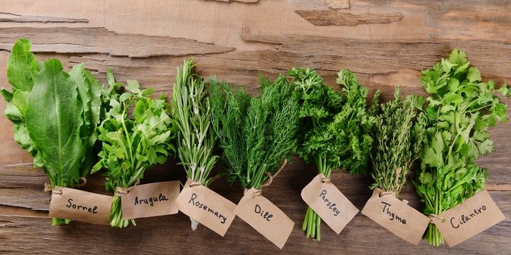 6 Kitchen Scraps That Can Be Turned into a Meal Herb stems