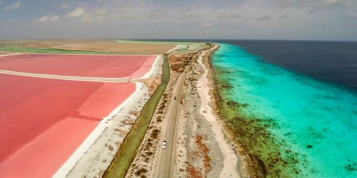 The 5 Most Famous Rosy Beaches on the Planet Dutch Caribbean Island