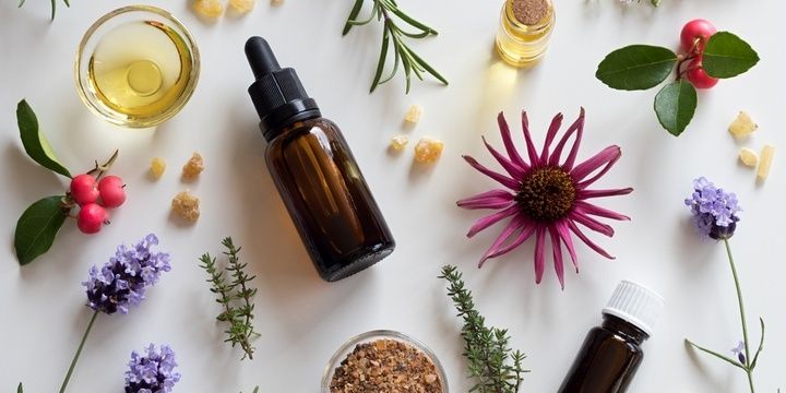 6 Natural Ways to Treat Sickness Echinacea